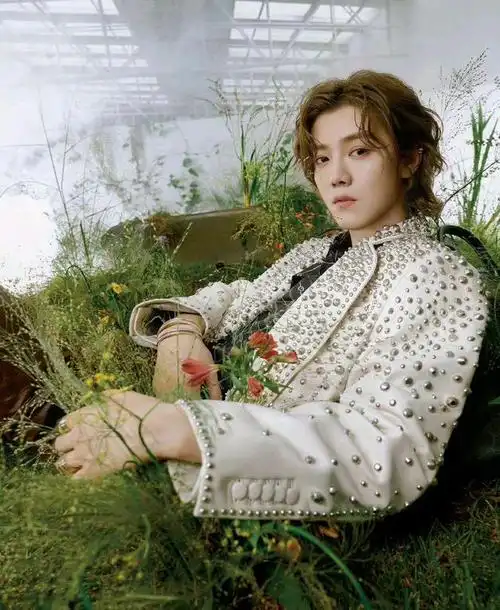 鹿晗的绿野仙踪