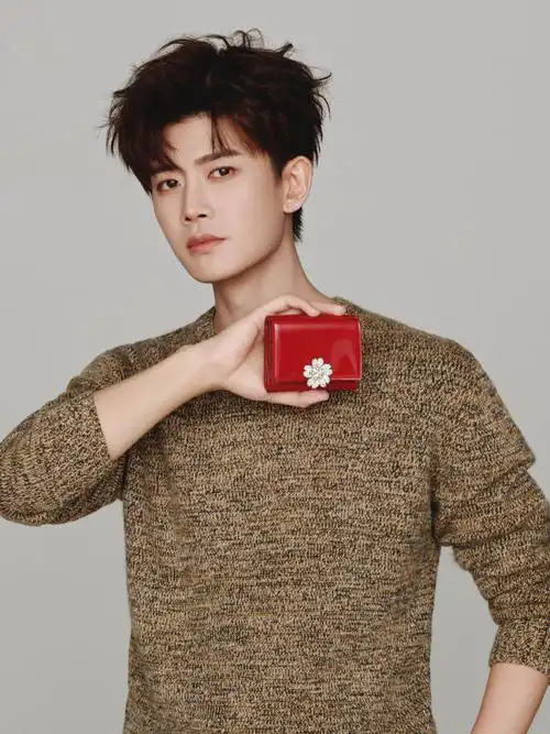 rogervivier品牌代言人任嘉伦##扣任心弦##锦绣繁花