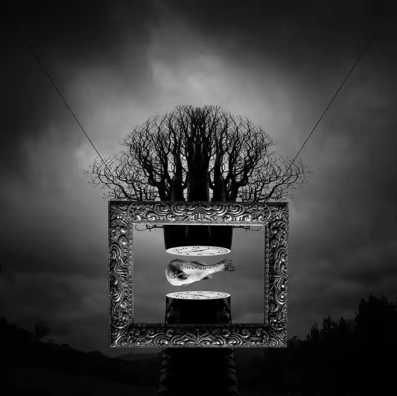 在这幅黑白创意照片中,一颗大树已经上下断裂开来,树的两侧是钟表的