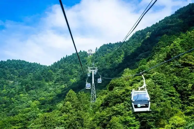 明月山这条公交线路有调整→_明月湾_洪江_旅游区