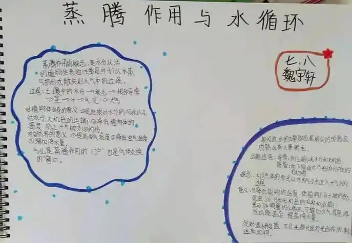 《蒸腾作用和水循环》三年级科学 水的三态循环手抄报科尔沁实验初中