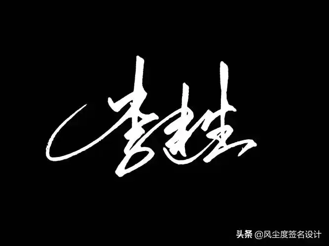 设计不出来艺术款式,而是我个人感觉这个名字用商务签名的款式体现