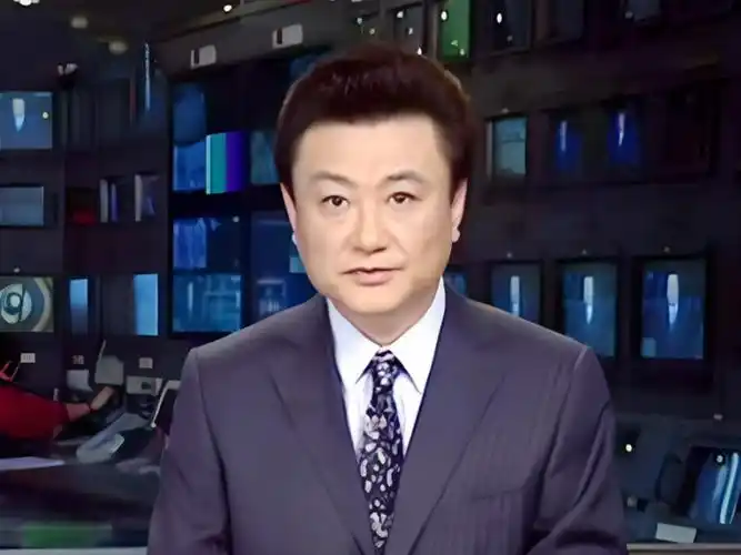 新闻联播主持人王宁,央视主持人王宁,王宁个人资料-主持人-串词网