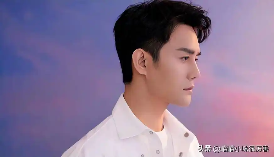 影视演员王凯的简历(男演员王凯简历个人资料)(图10)