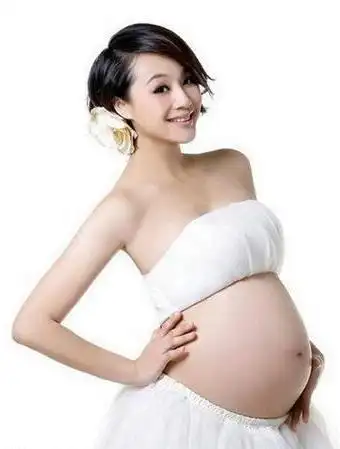 赵文卓夫妇曝大尺度孕照 女星孕照大不同(组图)