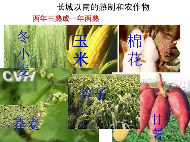 湘教版八年级地理中国的地域差异第二节北方地区和南