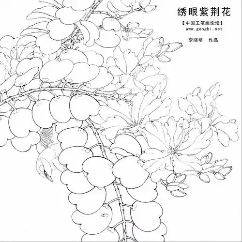 紫荆花工笔步骤 - 美篇