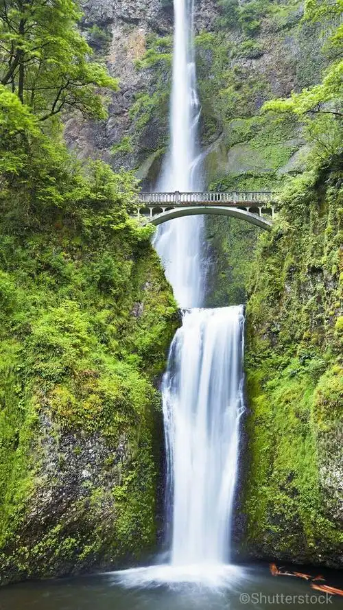 春暖花开赏美景