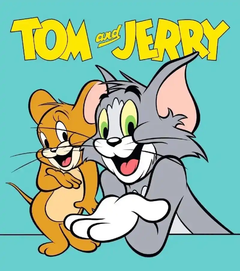 猫和老鼠 英短蓝白 猫咪的差别 蓝猫