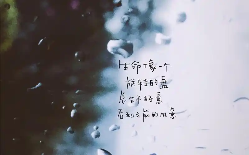 个性文字简约电脑桌面壁纸图片