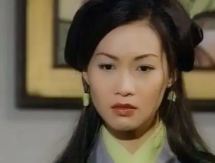 武侠小说中的百名绝色美女之黑纱蒙面的女子木婉清