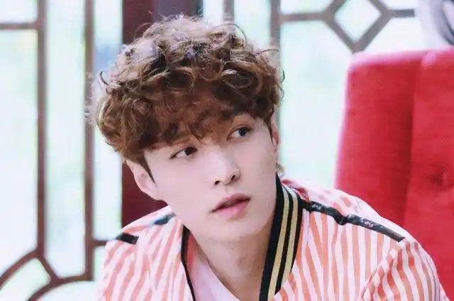 为什么同样是做小卷发,张艺兴的卷发就能让粉丝们这么惊喜尖叫呢?