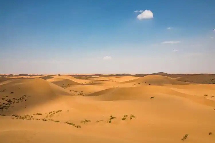 挑战腾格里沙漠!