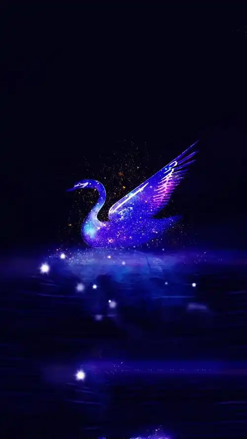 荧光- 堆糖,美图壁纸兴趣社区