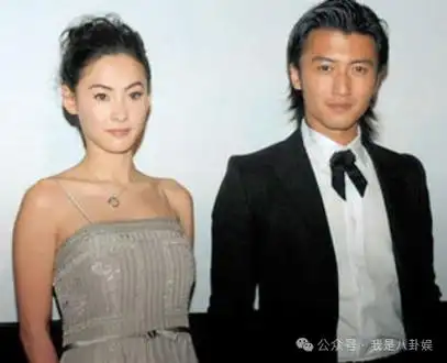 原创孙东海终于反击亲子鉴定狠狠打了张柏芝的脸难怪谢霆锋无力反驳