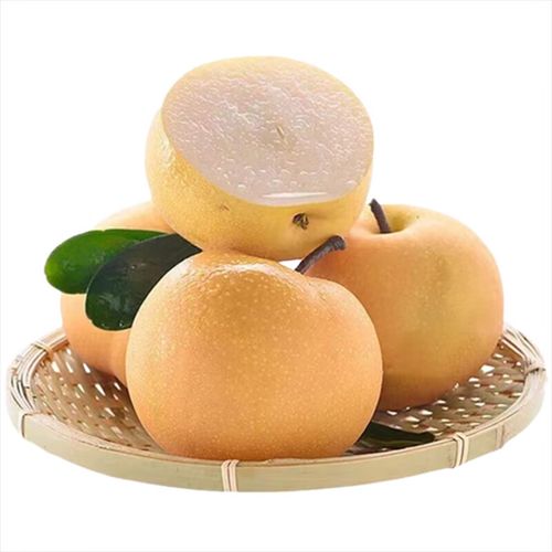 脆甜山东秋月梨正宗莱阳水果新鲜当季现摘10斤香羊脂精品整箱梨子 6颗