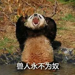 兽人永不为奴_兽人_为奴_永不表情