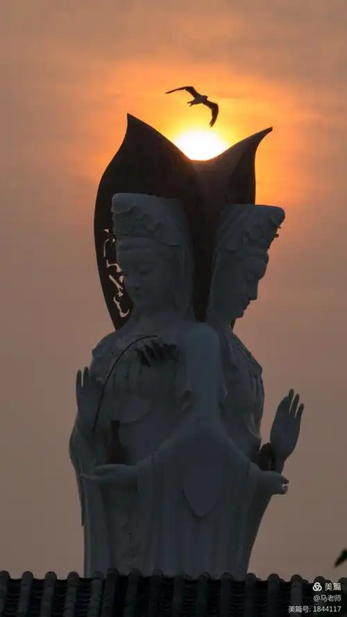 哈尔滨呼兰河口湿地公园莲花岛上的佛光