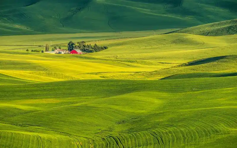 其它 人在画中行 一 帕卢斯麦田掠影 写美篇今年初,被电脑屏幕上的一