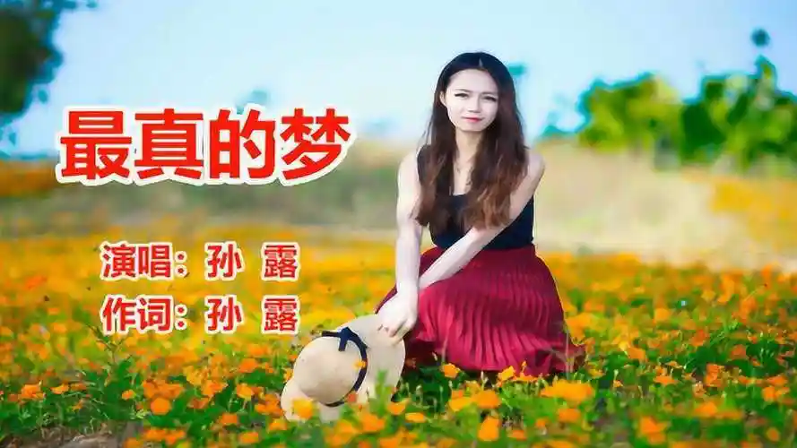 孙露《最真的梦》网络歌曲_腾讯视频