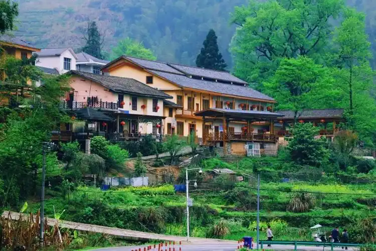 南惹村江西省宜春市袁州区古庙村水口茶园茶香云雾里,禅心天地间水口