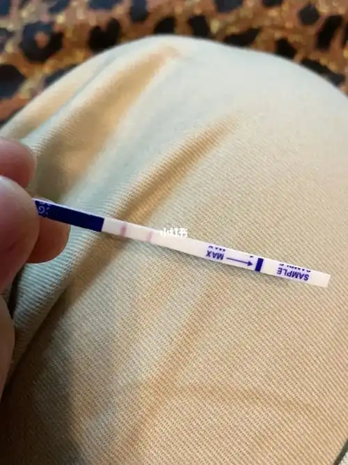 末次月经9月7日 友情提示试纸要比验孕棒验得更快一些.