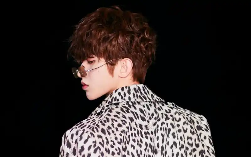 小鲜肉蔡徐坤高清明星艺术写真桌面壁纸