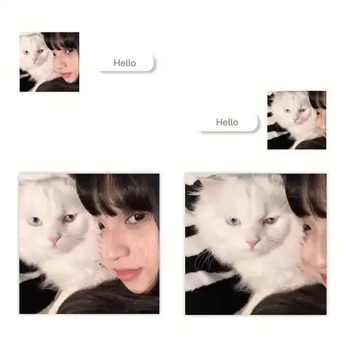 630这组对象不是人系列头像有点可爱