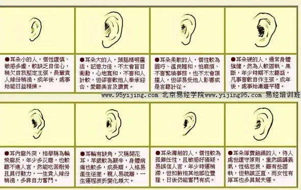 归谷山首页 女人面相 面相命运 怎样看一个宅子的风水 >> 正文耳垂看