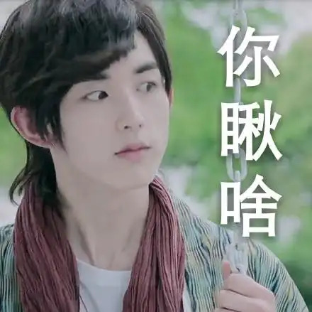 旋风少女郭俊辰飞鱼宝宝你瞅啥gif动图_动态图_表情包下载_soogif