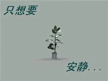 希望生活简单的句子说说心情说说心情