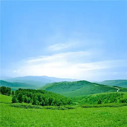 高清能带来好运的微信头像大全2021图片