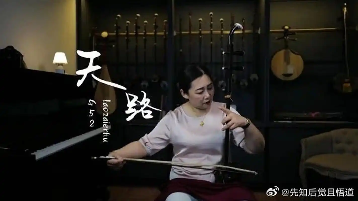 二胡演奏《天路》送给大家,经典歌曲,好听不错过此视频已有1442次播放
