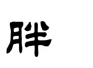 胖字的隶书写法,胖这个字的隶书