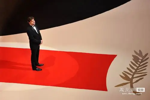 戛纳电影节开幕 范冰冰"china瓷"长裙惊艳