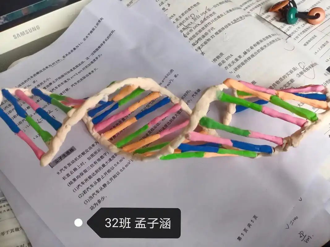 漯河高中2022高一学生创意作品: "dna双螺旋结构"模型 - 抖音