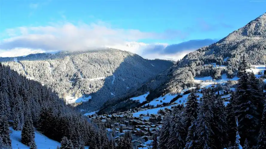 山雪冬天森林4k水平1024x768分辨率查看