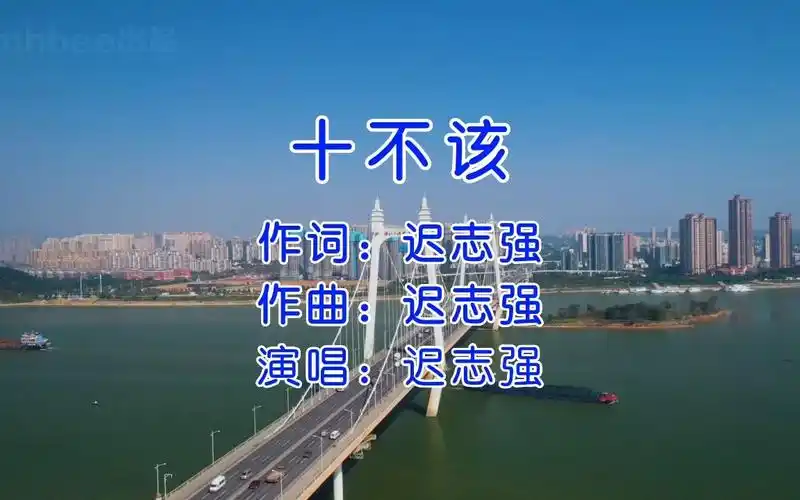 十不该 - 迟志强