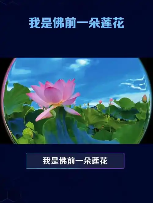 我是佛前一朵莲花