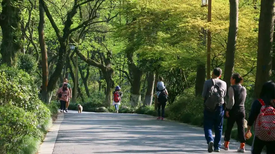 春风十里,阳光正好,我们携手走过的九溪十八涧