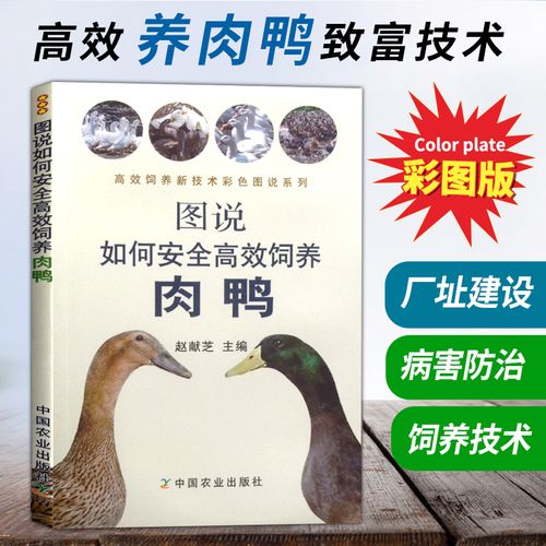 疾病快速诊治防治大全 生态高效养殖技术 家禽 养殖书籍 养鸭技术大全