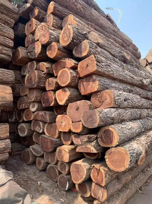 品质保证非洲酸枝红酸枝 原木木材 沉贵宝大红酸枝木材自带距板厂