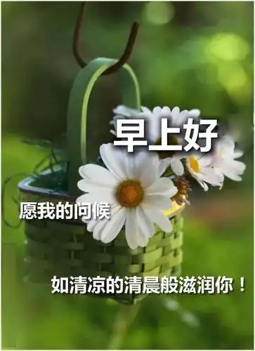 7张最新漂亮夏天早上好问候动画图片鲜花带祝福语 夏天早安问候动态
