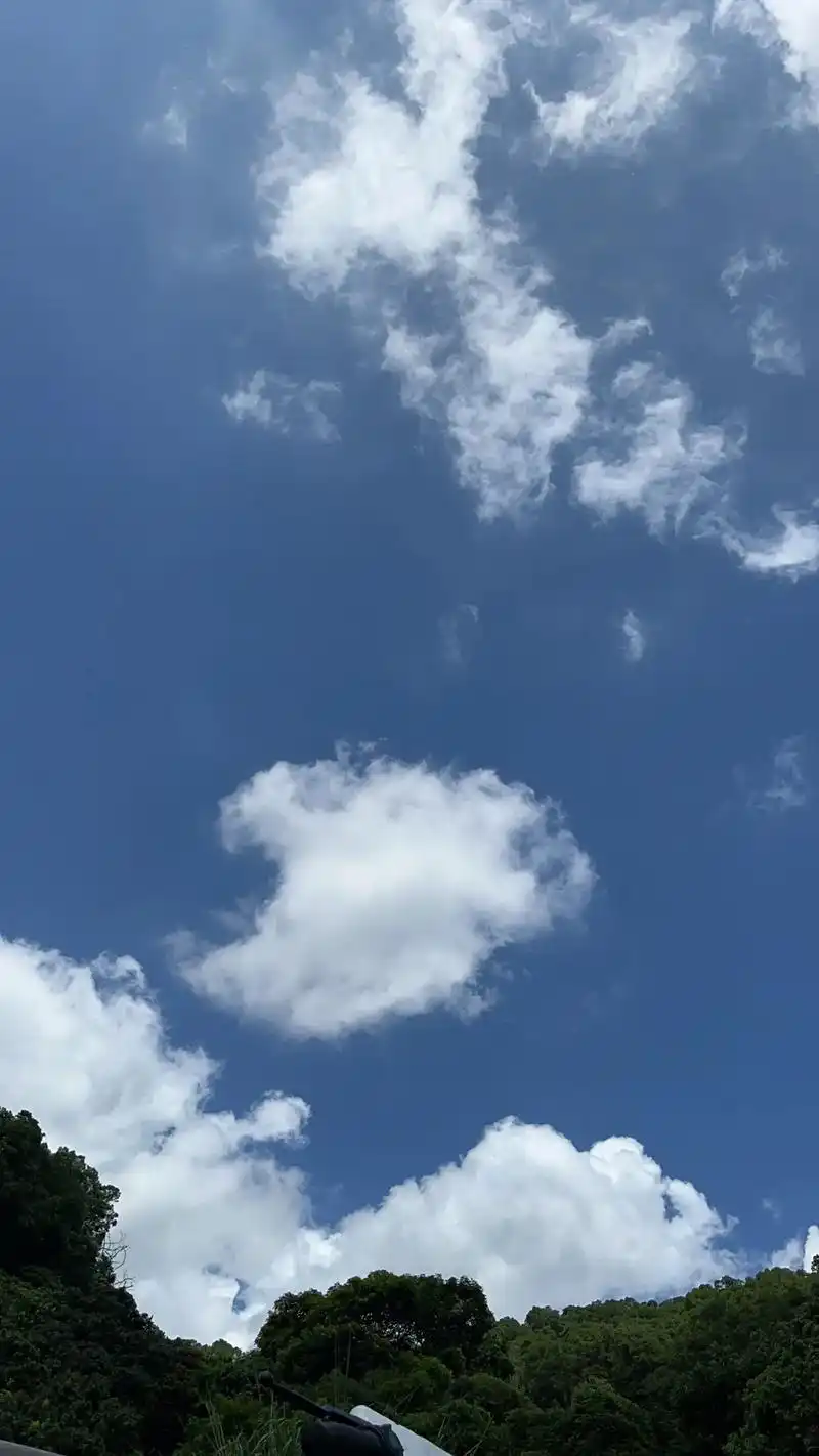 早安#手机摄影 蓝色天空好美#治愈系风景 - 抖音