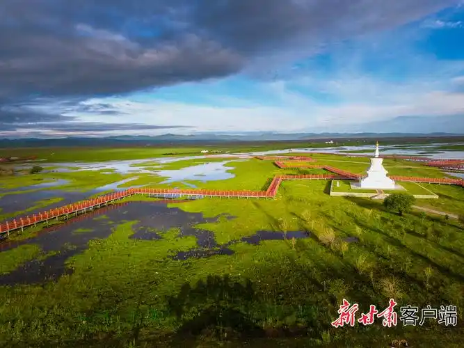 甘南绿水青山筑起生态屏障