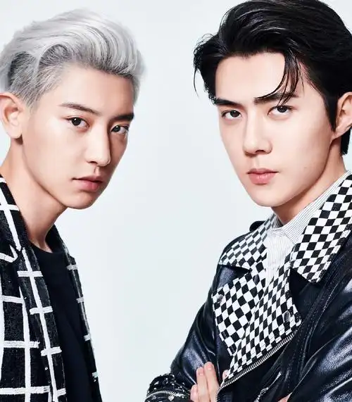 朴灿烈吴世勋合体封面大片写真图片217