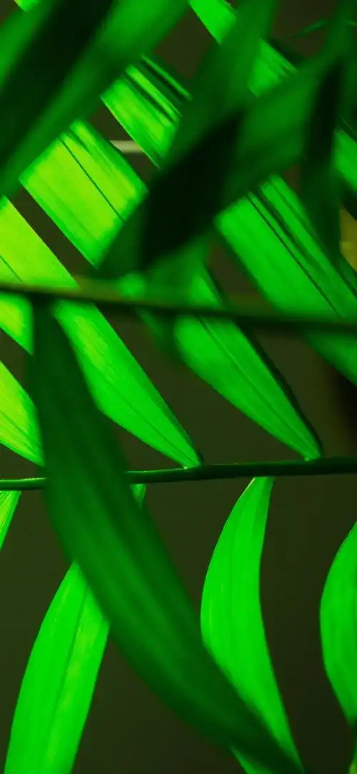 文具,书页,以及绿色系的电脑壁纸,绿色的手机屏保等等