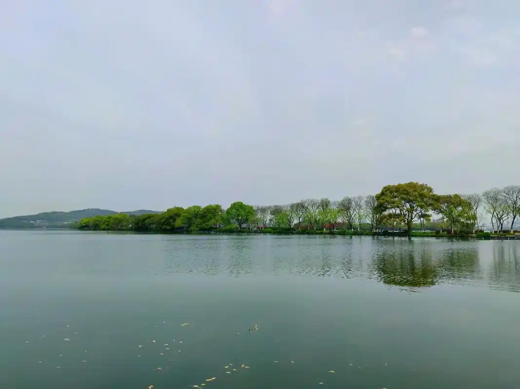 苏堤春晓.杭州西湖十景之首——苏堤春晓,位于西湖西侧,呈南北 - 抖音