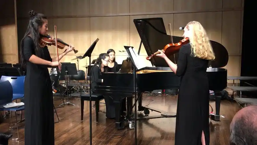 【钢琴/小提琴三重奏】suite in g minor, op. 71: molto vivace - m.