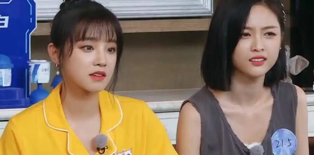 迎来新女嘉宾,杨颖疑似被孤立,没了黄晓明就没了保护伞_宋雨琦_baby